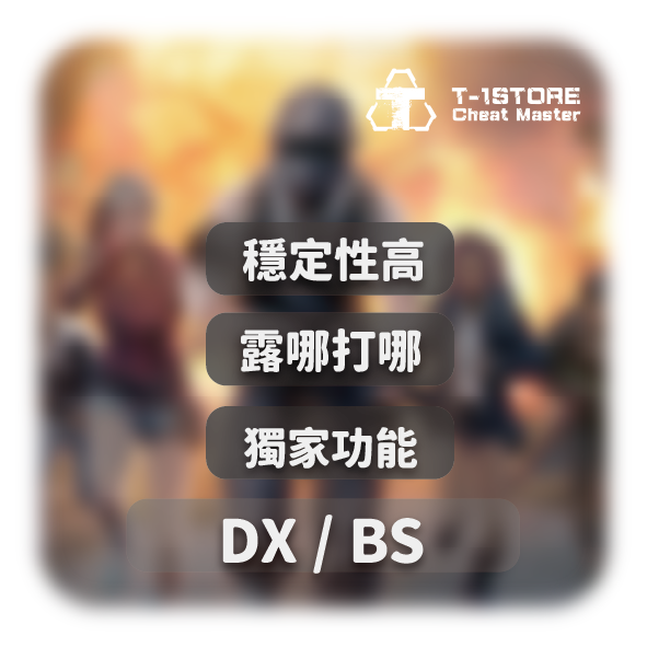 DX / BS | PUBG穩定輔助